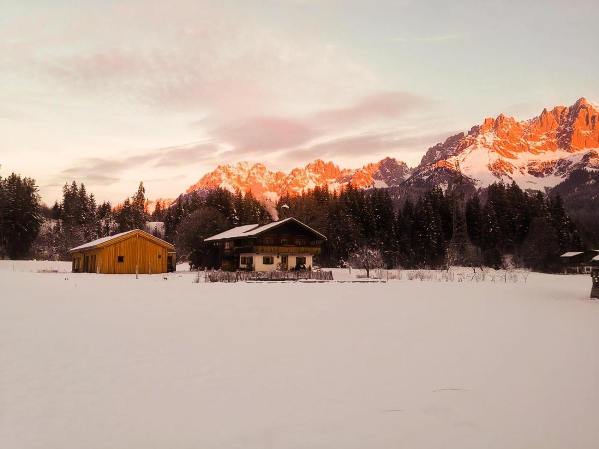 Going Artenreich Going am Wilden Kaiser Exteriör bild